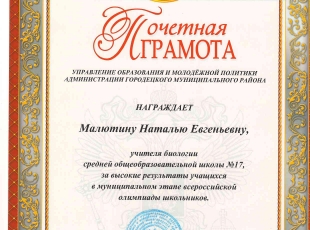Грамота высокие результаты олимп район.jpg
