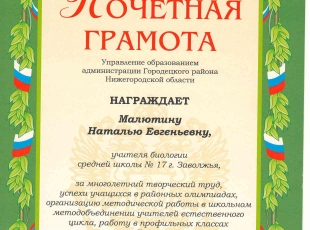 Грамота за многолетний труд район.jpg