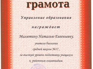Грамота подготовка к олимп район3.jpg