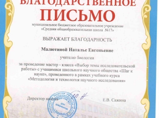 школьная мастер - класс-page-001.jpg