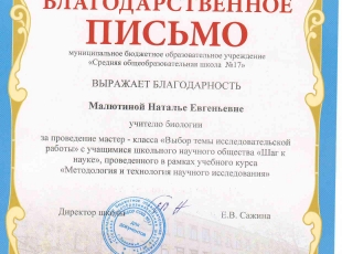 школьная мастер - класс.jpg